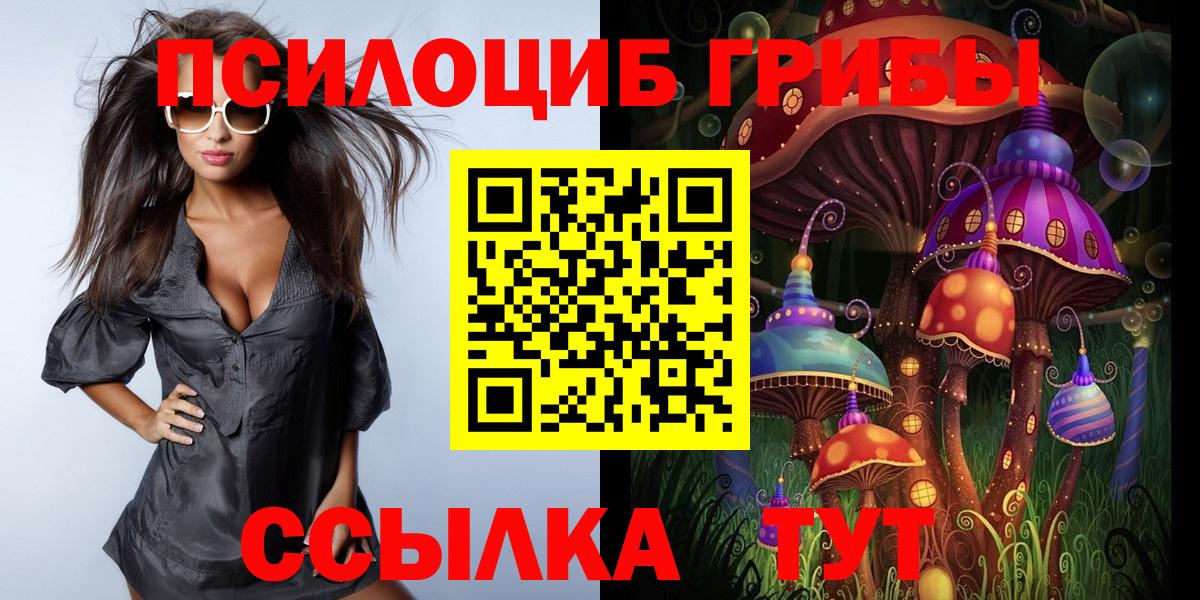 как найти   Псилоцибиновые грибы Magic Shrooms  Галлюциногенные грибы Magic Shrooms  Вход с VPN  Жуковский 